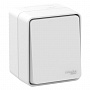 Переключатель Schneider Electric AtlasDesign Profi54 Белый 1-клавишный 10 АХ IP54