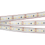 Arlight LUX Лента RTW 2-5000PS 12В SMD 3528 120LED/м 9,6Вт/м Теплый свет