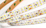 Arlight LUX Лента RTW 2-5000SE 24В SMD 3528 240LED/м 19,2Вт/м Холодный свет