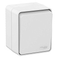 Выключатель Schneider Electric AtlasDesign Profi54 Белый 1-клавишный 10 АХ IP54