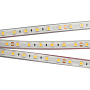 Arlight LUX Лента RTW 2-5000PGS 24В SMD 5060 60LED/м 14,4Вт/м Холодный свет