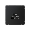 SE ArtGallery Карбон Розетка USB A + тип-C 45Вт высокоскор.заряд. QC PD механизм