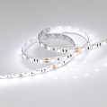 Arlight LUX Лента RT 2-5000 12В SMD 5060 60LED/м 14,4Вт/м Холодный свет